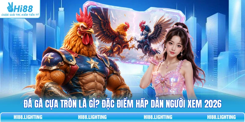 Đá Gà Cựa Tròn Là Gì? Đặc Điểm Của Hình Thức Thi Đấu 3 Đá Gà Cựa Tròn Là Gì? Đặc Điểm Hấp Dẫn Người Xem 2026